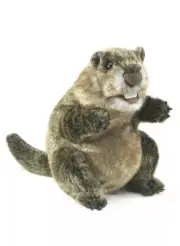 Folkmanis 3169 Groundhog Hand Puppet RETIRED Plush BNWT