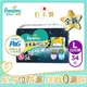 【幫寶適Pampers】一級幫 巧虎安睡褲/拉拉褲/晚安褲 尿布 紙尿褲 日本原裝 1包 (L 34片x1包)