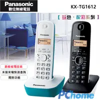 在飛比找PChome24h購物優惠-Panasonic DECT 數位無線電話 KX-TG161