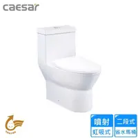 在飛比找momo購物網優惠-【CAESAR 凱撒衛浴】二段式省水單體馬桶/管距30(CF