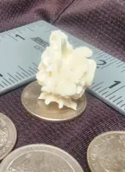 Western Diamondback Rattlesnake Snake Vertebrae Bone Bizarre FUSED ODD6