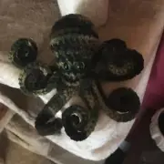 CAMOFLAGE MINI OCTOPUS AMIGURUMI