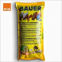 在飛比找momo購物網優惠-【特力屋】Bauer高強度水泥填縫接著漿-DIY迷你包2kg