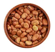 Dried fava beans