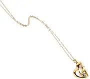 Ipetboom Heart Shape Pendant Necklace for Pet Ashes Dog Memorial Keepsake Jewelry for Women Unique Cremation Urn Charm for Daily Wear and Remembrance