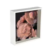 Nicola Spring Box Photo Frame - 10 x 10 Square Acrylic Frame