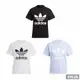 ADIDAS 女 TREFOIL TEE 短袖上衣 三葉草 大LOGO - IB7419 IB7420 IB7421