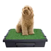 PetSafe Pet Loo Pet Toilet - Medium