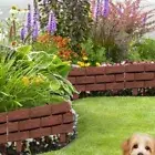 Landscape Plant Horticultural Fence Plastic Garden Frame Lawn Picket