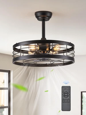 20 Inch Fandelier Caged Ceiling Fan with Light, Bladeless Ceiling Fan with Remot