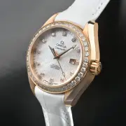 omega Seamaster Aqua Terra 150M watch unisex TO04374