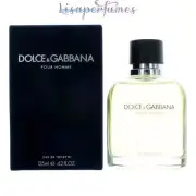 D&G Dolce & Gabbana Homme ~ Cologne for Men 4.2oz NIB
