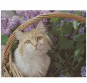 Cross Stitch Pattern Moggy Megan Kittens X Stitch Gwen St Designs