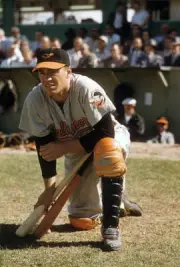 Gus Triandos 1958 Baltimore Orioles Baseball Old Photo