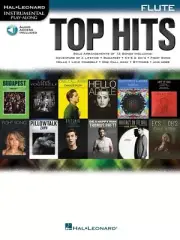 Top Hits Flute Book/Online Audio (Softcover Book/Online Audio)