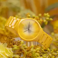 在飛比找momo購物網優惠-【Rado 雷達表】真薄系列 世界花園高科技陶瓷石英手錶 R