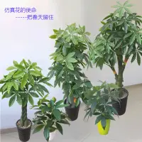 在飛比找樂天市場購物網優惠-發財樹仿真假塑料招財樹盆栽花植物室內客廳綠植花盆栽搖錢樹裝飾