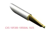 1 PCS ORIGINAL INSERTS CXS-10F300-10030AL 1025