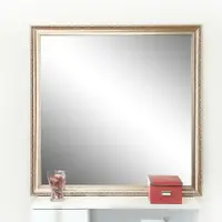 在飛比找PChome24h購物優惠-BuyJM典雅浮雕古銅穿衣鏡/壁鏡/玄關鏡(長120x寬12