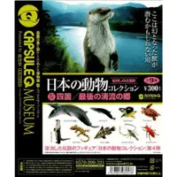 在飛比找蝦皮購物優惠-海洋堂 日本的動物四代 四國 最後的清流 單售區 日本長臂沼