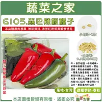 在飛比找樂天市場購物網優惠-【蔬菜之家】G105.森巴辣椒種子 (F1) (共2種包裝可