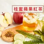 『桂蜜蘋果紅茶』茶包 一袋10入 橙香紅玉 三角茶包 蟬吮蜜香紅茶 水果茶 冷泡茶 熱泡 花果茶 花茶