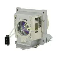 在飛比找樂天市場購物網優惠-BenQ原廠投影機燈泡5J.J4L05.001 / 適用機型