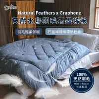在飛比找momo購物網優惠-【GNITE】台灣製造 天然水鳥羽毛石墨烯被(2.5kg/雙
