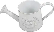 AKOOSY Portable White Galvanized Iron Watering Can for Succulents for Spaces Durable Design for Easy Plant Care