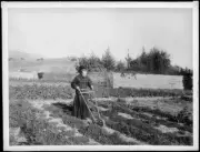 Monk tilling the garden at Mission Santa Barbara 1898 California Old Photo