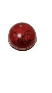 DANIEL VETTORI SIGNED LEATHER Cricket ball NEW ZEALAND HADLEE CROWE BRADMAN