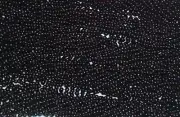 24 Black Over The Hill Mardi Gras Beads Necklaces Party Favors 2 dozen