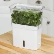 COLE & MASON Fresh Herb Keeper, Container, Clear