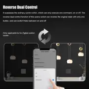 (Ac100-240V Gray) Home Smart Control Panel Zigbee Graffiti Singl HG