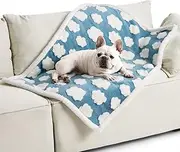 Waterproof Puppy Blanket for Small Dogs - Washable Double Sided Dog Blankets with Warm Jacquard Shag and Soft Sherpa Fleece, Pet Cat Blanket for Couch Protection, 3D Textured Cloud, Blue, 35.4x25.6in