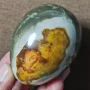 338g Natural Colorful Polished Ocean Jasper Egg Crystal HEALING D82