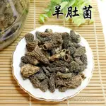 -野生羊肚菌/羊肚菇/草笠竹- 頂極稀有野生菇菌，高級食材，素中之葷，含有多種微量元素和多種胺基酸，中西料理皆宜。