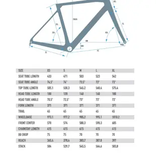 線上單車 2024 HASA RS1 碳纖維碟煞公路車 自行車 碟煞公路車 公路車