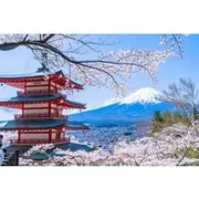 Save 17.99%! Mount Fuji Day Trip from Tokyo with Scenic Views