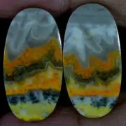 49.20 Cts Natural BumbleBee Jasper Matched Pair Cabochon Gems For Earring Supply