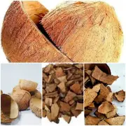 Coconut shell chips ecofriendly 100% natural organic 100g