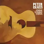 PETER CILUZZI / MUSIC WITHOUT WORDS