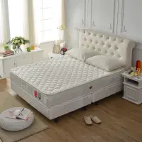 在飛比找momo購物網優惠-【睡芝寶】正三線抗菌-機能獨立筒床墊(雙人5尺-強化好眠)