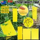 50X Fly Trap Dual-Sided Sticky Trap Bug Insect Gnat Traps Sticky Board Catcher