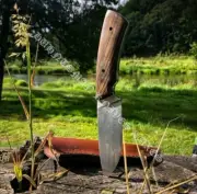 Hand Made Bushcrafting knife In Scandi grind With Walnut Burl & D2 Steel Blade