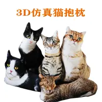 在飛比找蝦皮購物優惠-50cm 仿真3D貓咪抱枕 3D狗抱枕 靠腰枕/情人節玩偶 