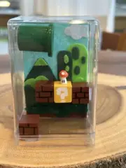 Handmade Mario Themed Jumping Spider Enclosure