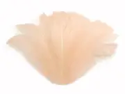 1/4 Lb - 2-3" Champagne Goose Coquille Loose Wholesale Feathers Halloween Supply