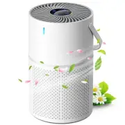 Air Purifier, Small [2025 Innovative Enhanced Version] 13 tatami mats, Pollen, Q