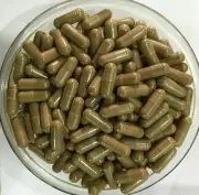 Polypodium Leucotomos 20:1 with Green Tea Pine Bark Aloe Vera Pomegranate